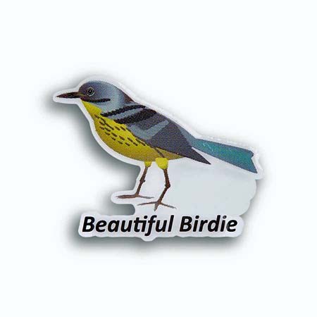 BEAUTIFUL BIRDIE PIN - SPARROW